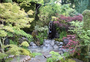 Chelsea Garden show