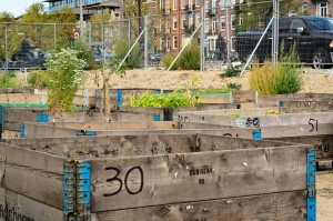 Urban_agriculture_in_Amsterdam