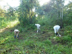 Clearing Land © Jenny Cottle