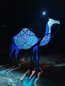 Camel