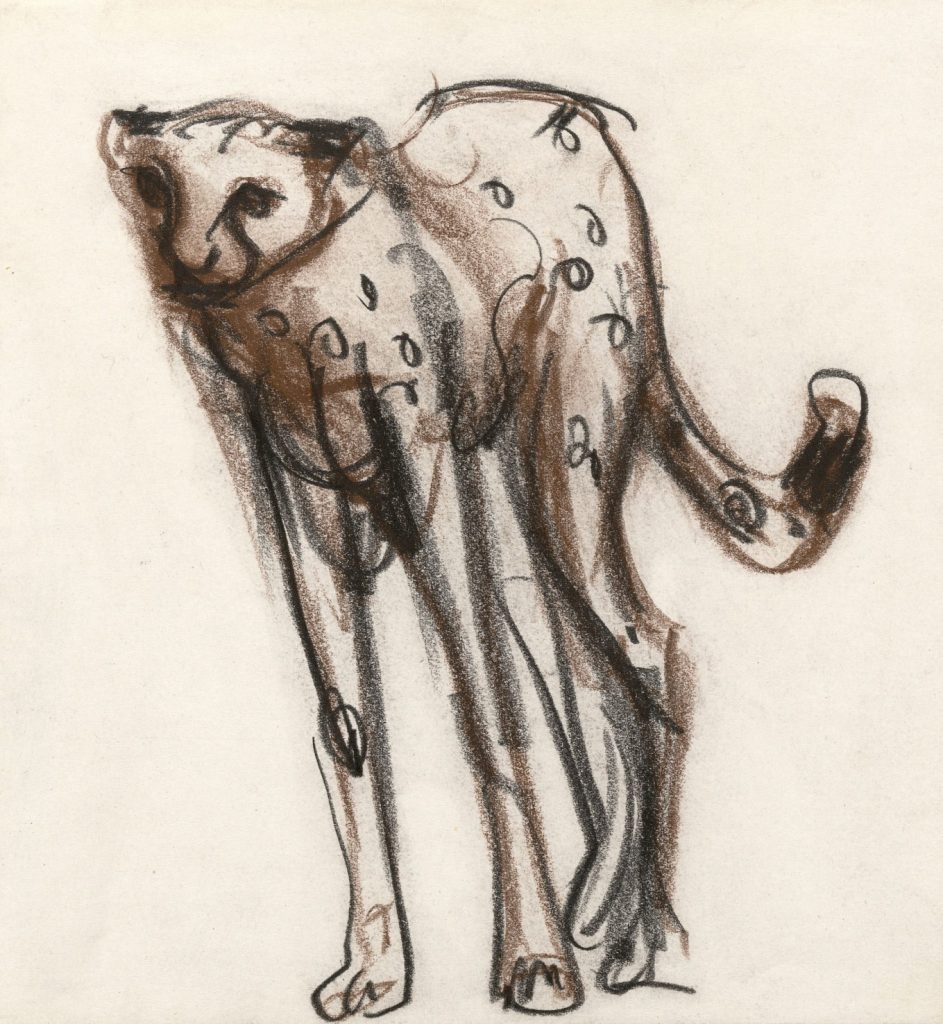 <!-- wp:paragraph --> <p><em>Drawing for Cheetah c. 1953.</em></p> <!-- /wp:paragraph -->  <!-- wp:paragraph --> <p><em>Black and brown conté crayon, 21.0 x 19.4 cm</em></p> <!-- /wp:paragraph -->