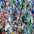 Plastic bottles