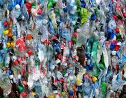 Plastic bottles