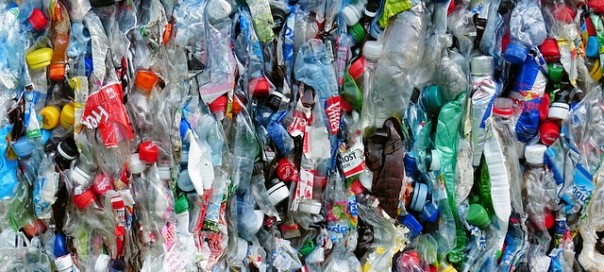 Plastic bottles