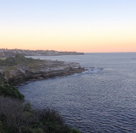 Coogee Coastline