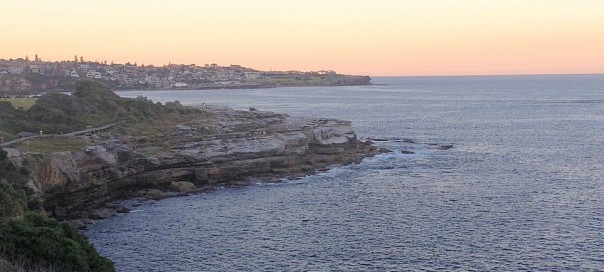 Coogee Coastline