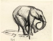 Fred Williams, Elephant 1953 Conté crayon 25.2 x 31.8 cm (sheet)