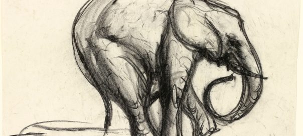 Fred Williams, Elephant 1953 Conté crayon 25.2 x 31.8 cm (sheet)